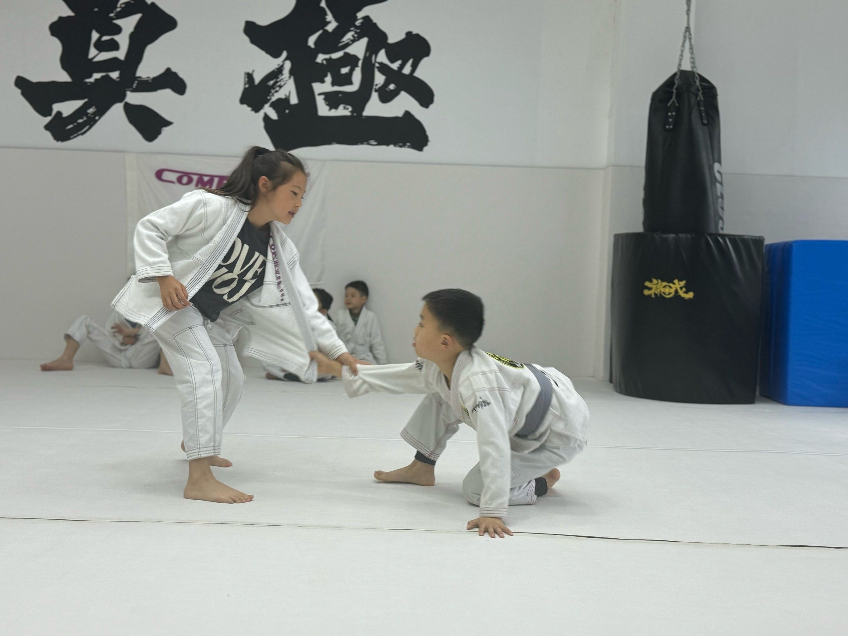 巴西选手勇夺巧妙搏击比赛头名的简单介绍