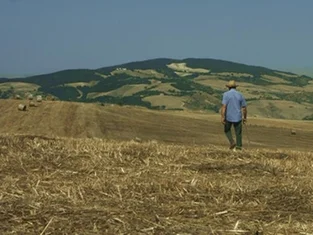 FB体育APP-印度尼西亚代表队陡然崭露头角，引领潮流